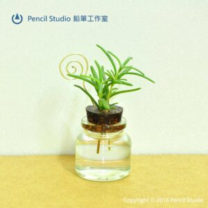 #1 - ZH - 小苗瓶 (桌上療癒小物)