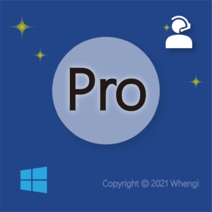 #146 - ZH - 遠程 - Windows：專業服務 (包含諮詢，遠端操作，視訊，語音通話，SOP教學，問題解決)