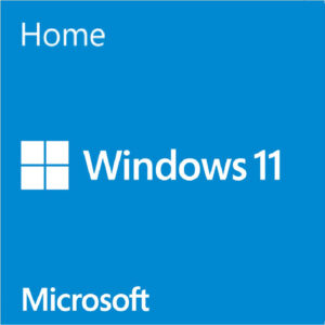#446 - ZH - 作業系統：Microsoft Windows 11 家用版 (64位元, 數位下載隨機版)