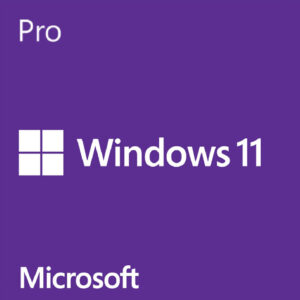 #447 - ZH - 作業系統：Microsoft Windows 11 專業版 (64位元, 數位下載隨機版)