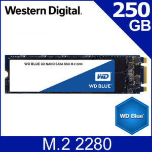 #469 - ZH - SSD 固態硬碟：WD BLUE 250GB M.2 SATA 2280
