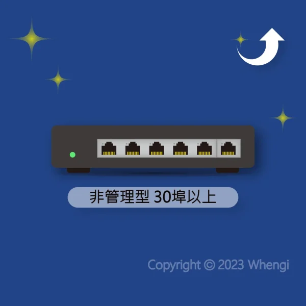 #572 - ZH - 更新 - 網路設備：非管理型交換器 30埠以上 韌體更新 (服務費)