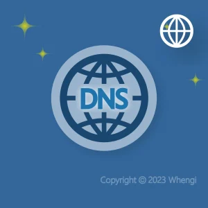 #488 - ZH - 網路 - DNS網域：代管服務 每月 (服務費)