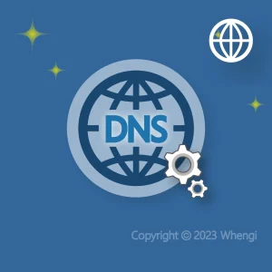 #166 - ZH - 網路 - DNS網域：設定服務 (服務費)