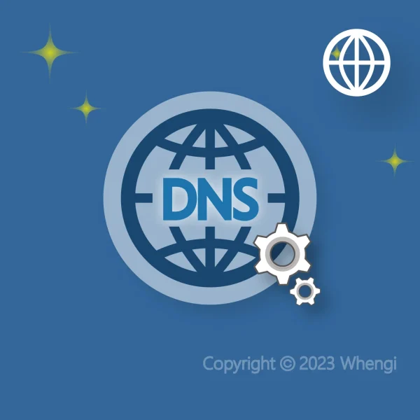 #166 - ZH - 網路 - DNS網域：設定服務 (服務費)